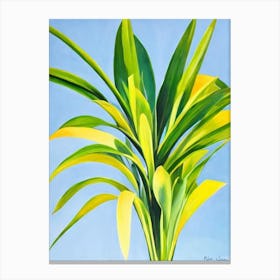 Dracaena Bold Graphic Plant Canvas Print