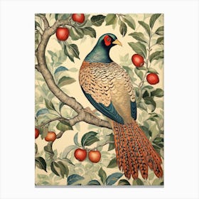 Pheasant Bird Vintage Canvas Print