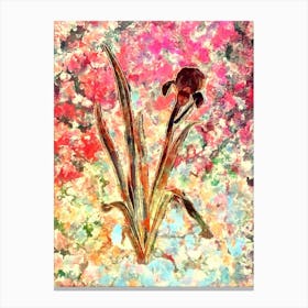 Impressionist Crimean Iris Botanical Painting in Blush Pink and Gold Canvas Print
