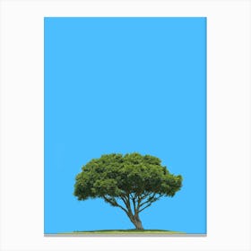 Lone Tree On Blue Sky Canvas Print
