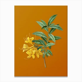 Vintage Yellow Azalea Botanical on Sunset Orange n.0523 Canvas Print