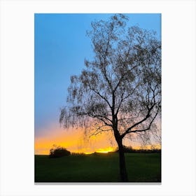 Sunset Over A Tree 1 Canvas Print