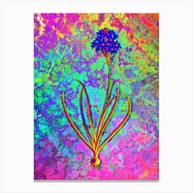 Arabian Starflower Botanical in Acid Neon Pink Green and Blue n.0357 Canvas Print