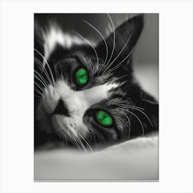 Green Eyes Cat Canvas Print