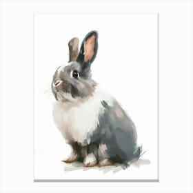 Himalayan Rabbit Kids Illustration 1 Canvas Print