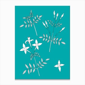 Jasmine Flowers On Blue Green Canvas Print