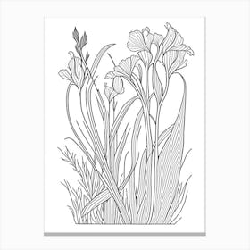 Orris Root Herb William Morris Inspired Line Drawing 2 Canvas Print