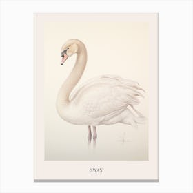 Vintage Bird Drawing Swan 2 Poster Canvas Print