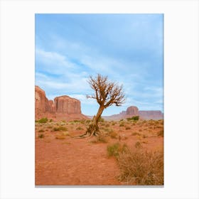 Monument Valley XI on Film Canvas Print