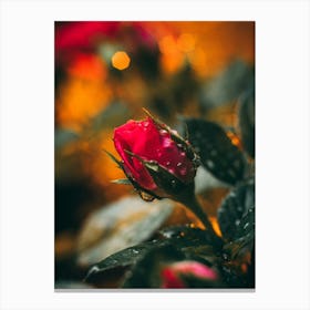 Poster Flower Art Print 11 Canvas Print