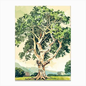 Linden Tree Storybook Illustration 2 Canvas Print