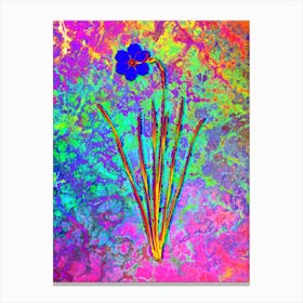 Narcissus Poeticus Botanical in Acid Neon Pink Green and Blue n.0167 Canvas Print