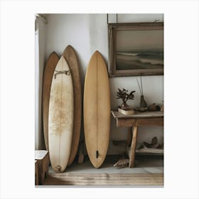 Surfboards 5 Canvas Print