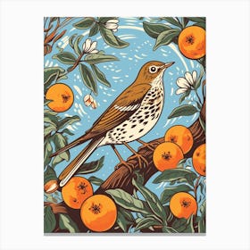 Vintage Bird Linocut Hermit Thrush 3 Canvas Print