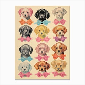 Collection Of Vintage Dogs Ribbons Kitsch Canvas Print