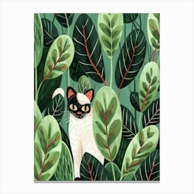 Siamese Cat 8 Canvas Print