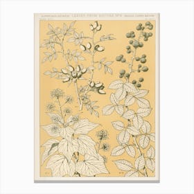 Vintage Flower Pattern, Owen Jones Canvas Print