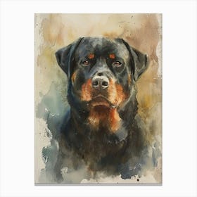 Rottweiler Watercolor Painting 4 Canvas Print