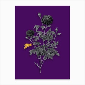 Vintage Burgundy Cabbage Rose Black and White Gold Leaf Floral Art on Deep Violet n.0641 Canvas Print