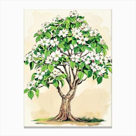 Dogwood Tree Storybook Illustration 2 Canvas Print