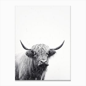 Black & White Ink Painting Of Highland Cow 2 Canvas Print
