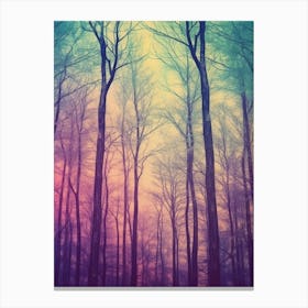 Bare Trees In The Forest Canvas Print