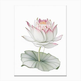 Water Lily Floral Quentin Blake Inspired Illustration 4 Flower Canvas Print