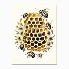 Colony Of Bees 7 Vintage Canvas Print