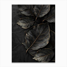 Black Leaves On A Black Background 1 Canvas Print