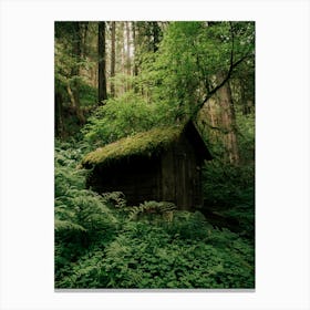 Forest Shack Canvas Print