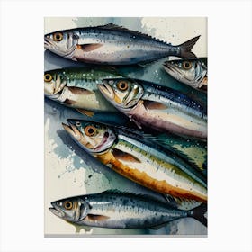 Sardines 17 Canvas Print