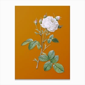 Vintage White Provence Rose Botanical on Sunset Orange n.0752 Canvas Print