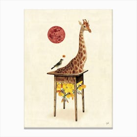 Giraffe table Canvas Print