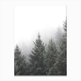 Trees In The Fog Canvas Print
