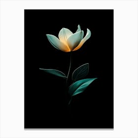 Lotus Flower 20 Canvas Print