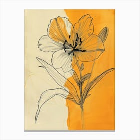 Lily illustration Canvas Print