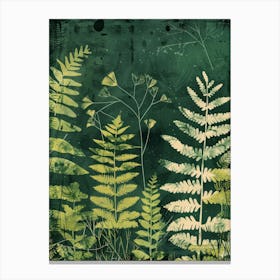 Ferns 1 Canvas Print