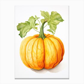 Delicata Squash Pumpkin Watercolour Illustration 2 Canvas Print