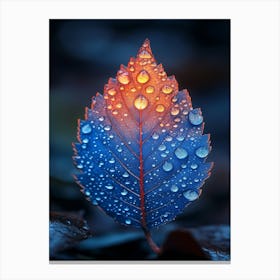 Raindrops On A Leaf Canvas Print