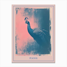 Pink & Blue Peacock Portrait 1 Poster Canvas Print