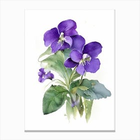 Violets Wildflower Watercolour 1 Canvas Print