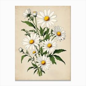 Daisy Bouquet Canvas Print