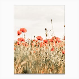 Poppy Flower Field Canvas Print