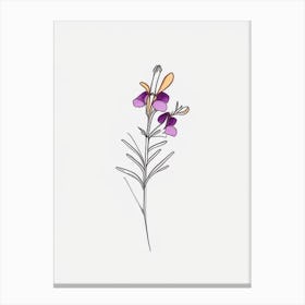 Nemesia Floral Minimal Line Drawing 1 Flower Canvas Print