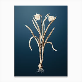 Gold Botanical Narcissus Candidissimus on Dusk Blue Canvas Print
