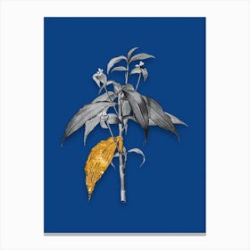 Vintage Commelina Zanonia Black and White Gold Leaf Floral Art on Midnight Blue n.0274 Canvas Print