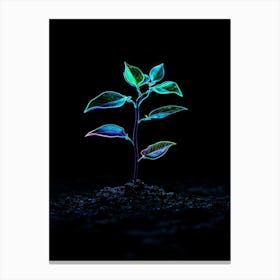 Neon Plant In The Dark Toile