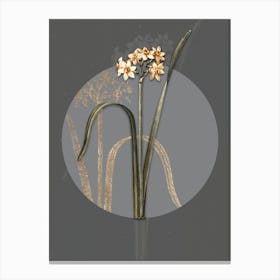 Vintage Botanical Cowslip Cupped Daffodil on Circle Gray on Gray n.0286 Canvas Print