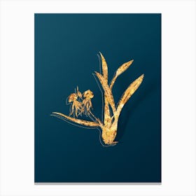 Vintage Clamshell Orchid Botanical in Gold on Teal Blue Canvas Print
