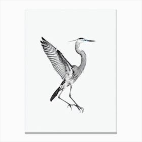 Great Blue Heron B&W Pencil Drawing 2 Bird Canvas Print